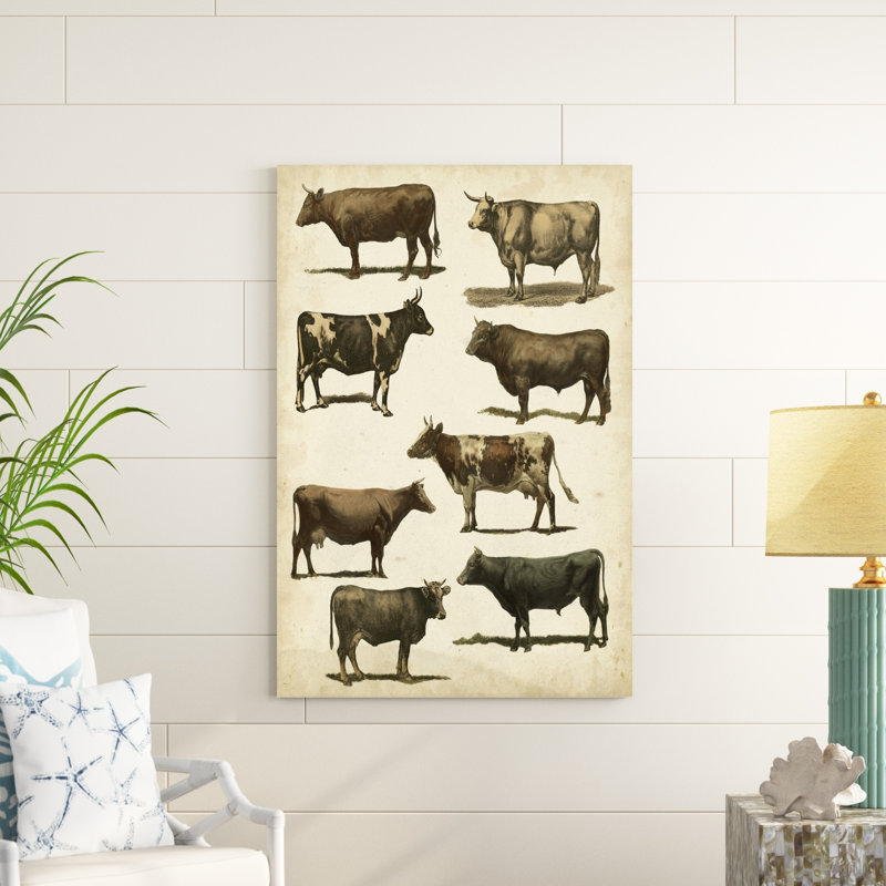 Antique Cow Chart - Painting on Canvas, Wrapped Canvas, 122cm H x 81cm W