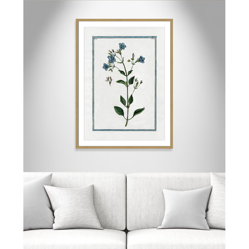 Colombe Shabby Elegance Botanical II - Art encadré, L 25,5 po x H 35,5 po, Cadre naturel