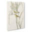Prairie Warbler Birds by John Audubon - Wrapped Canvas Painting-55322653