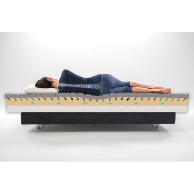 Magnistretch Sport 10 simple TG