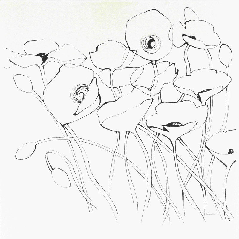 Black Line Poppies I, H 20 po x l 20 po