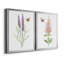 «Wildflower Botanical I», ensemble de 2 reproductions d'art-808463902-808463877-808463897