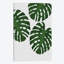 « monstera leaf iii », reproduction d’impression sur toile en vert-29681727-74403121-74403115