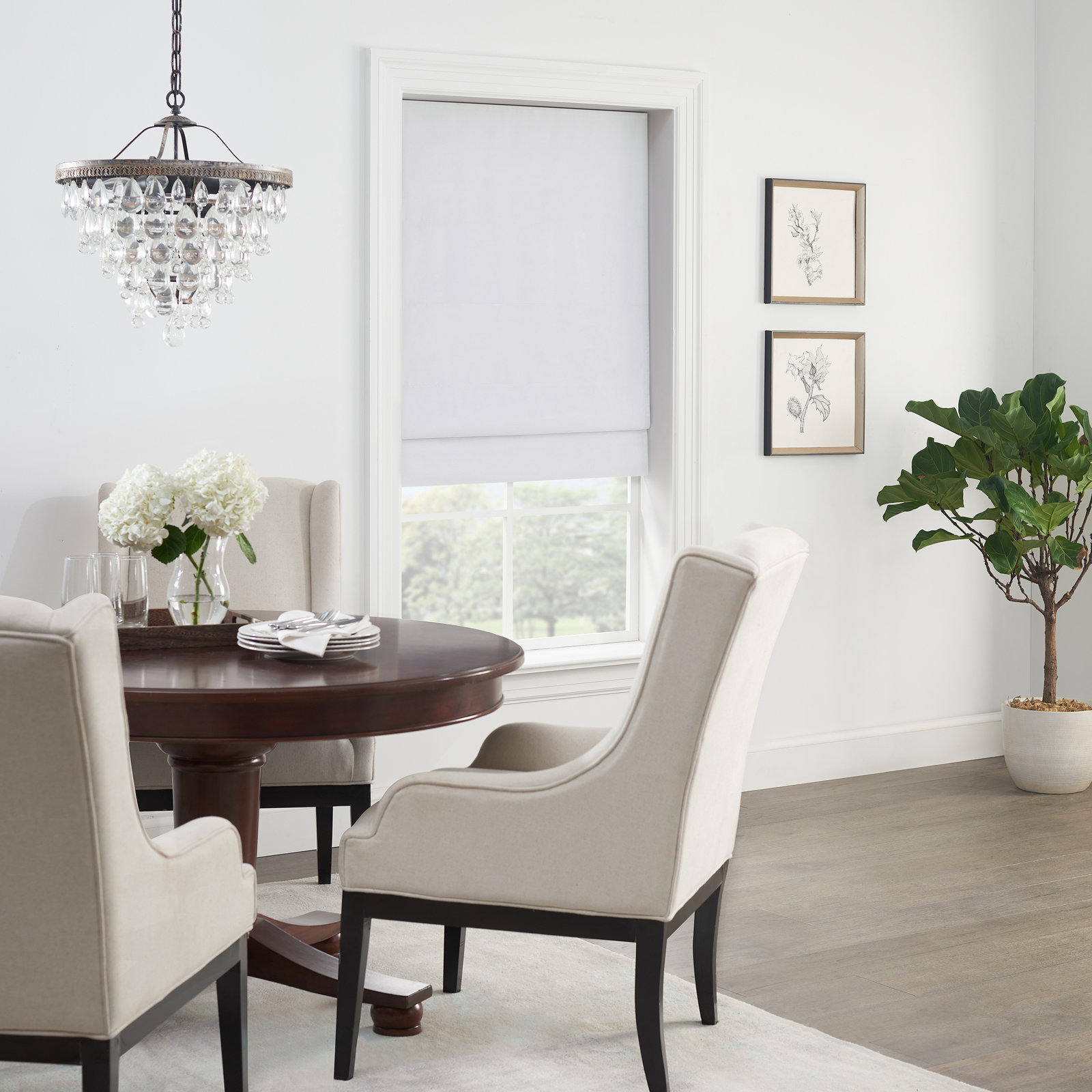 Eclipse Blackout Roman Shade, White, 36"W x 64"L