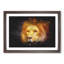 Lion Vol.4 - Picture Frame Graphic Art-62802647-62802650