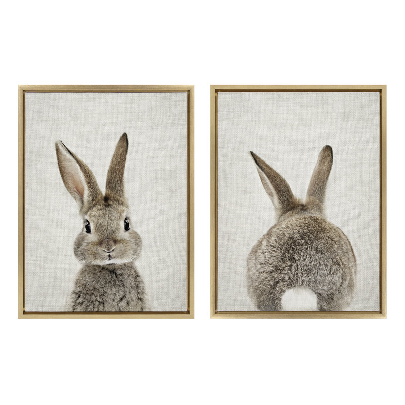 «Bunny Portrait on Linen and Bunny Tail on Linen» par Amy Peterson, ensemble d'art mural sur toile encadrée, Cadre doré