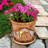 Andreiana Pot Planter