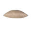 Allure Beige and Gold Herringbone Pillow