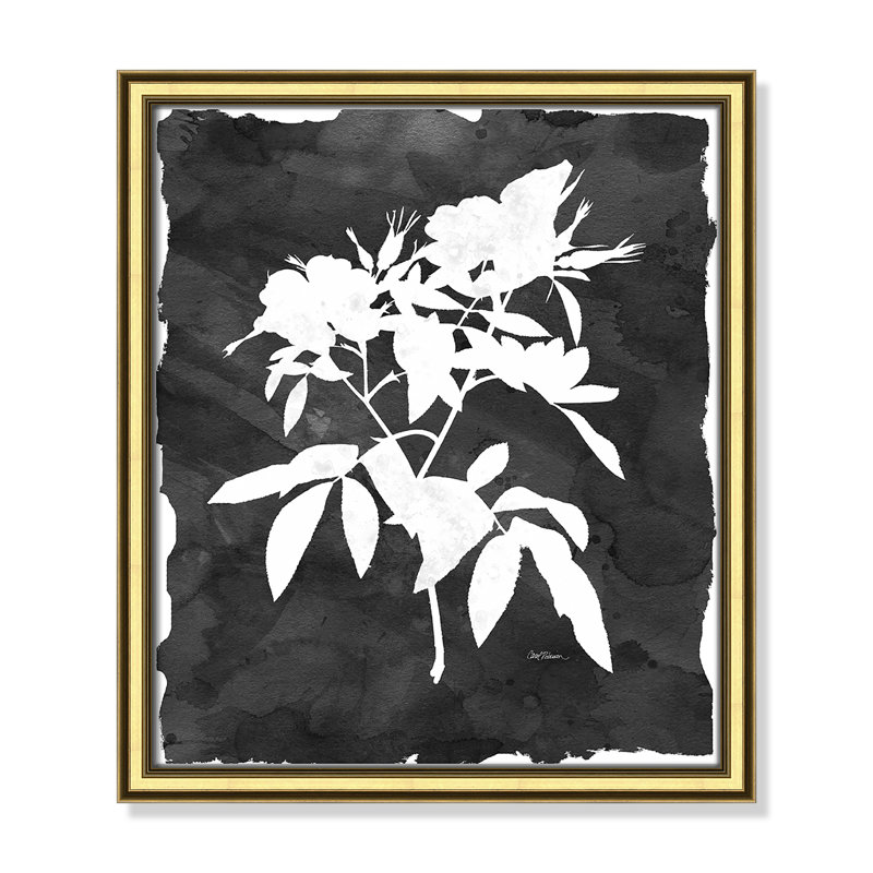 «Black Botanical I» par Carol Robinson - impression encadrée, Cadre doré, H 16,25 po x l 14,25 po x P 0,88 po