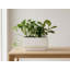 Boîte rectangulaire décorative en béton (paquet de 8) - Intérieur/Extérieur-1174735929-1174735931