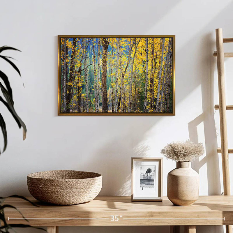 Kootenay Fall II, 19 po x 13 po, Cadre flottant doré