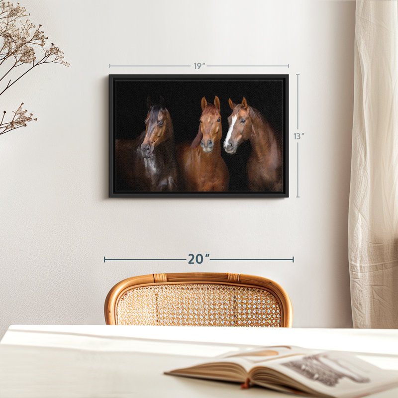 " Brown Stallion Horses Canvas Print ", 13" H x 19" W