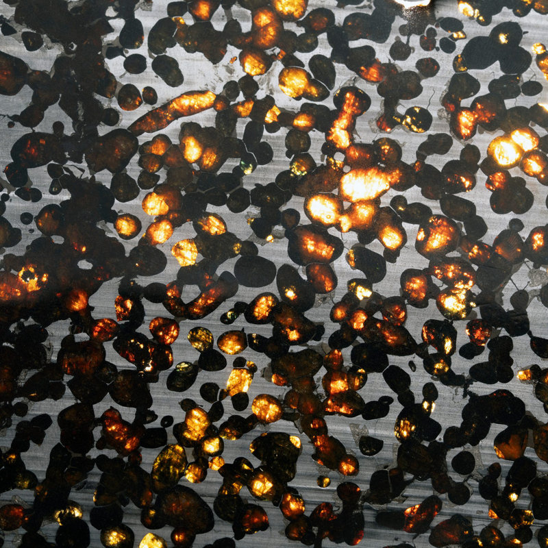 Météorite Sericho Pallasite véritable