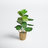 30'' Faux Fiddle Leaf Fig Tree in Wicker/Rattan Basket