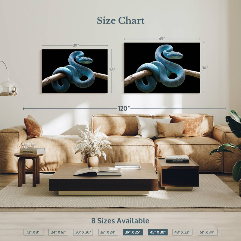 Brampt Blue Viper Snake