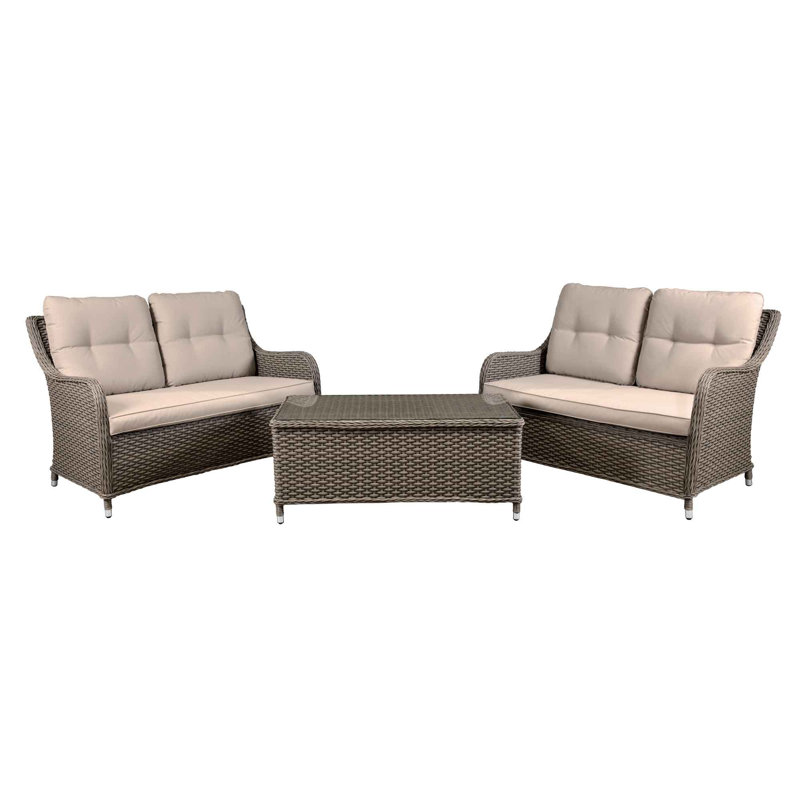 Adason Polyethylene (PE) Wicker 4 - Person Seating Group with Cushions