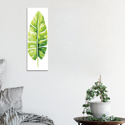 Banana Leaf Study II by Grace Popp - Wrapped Canvas Panoramic Painting