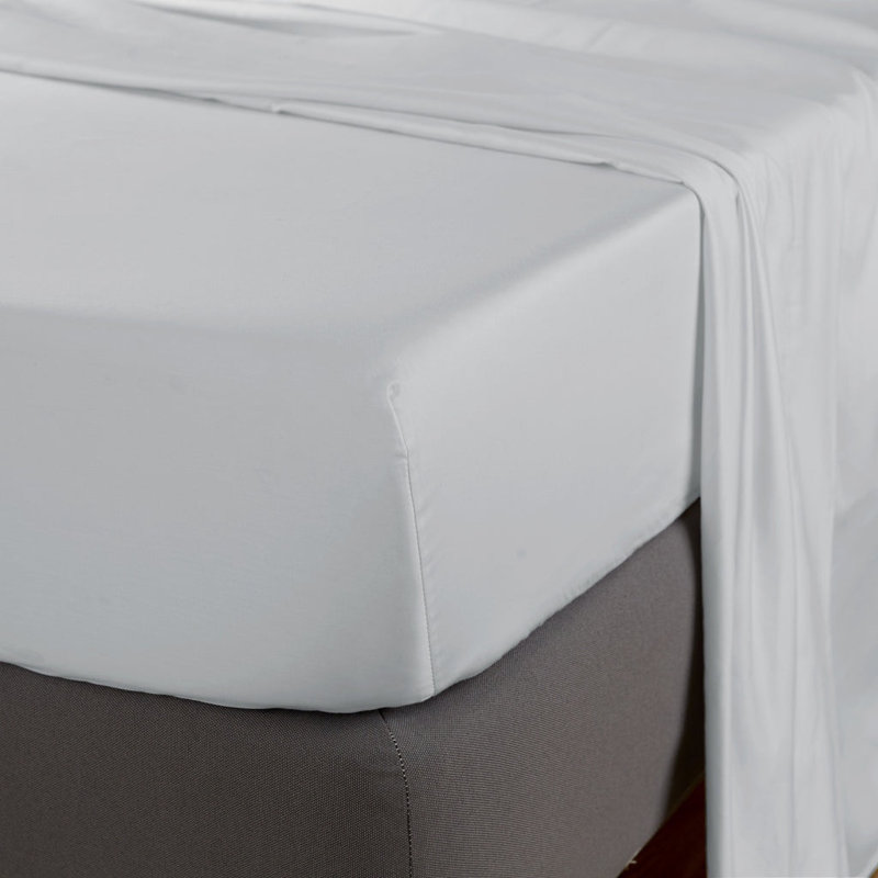 Avont 100% Cotton Standard Flat Sheet, Kingsize (5'), Grey