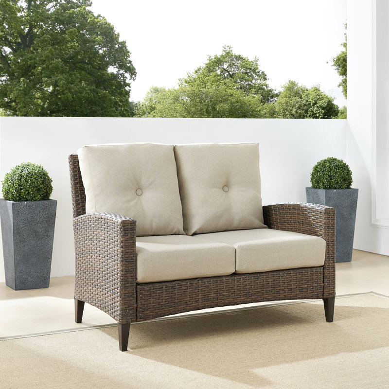 Allis 53.25'' Wide Metal Loveseat with Cushions