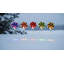 Christmas Decoration