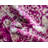 Annalotta Oriental Indoor Rug-1721389374
