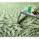 Hissom Flatweave Indoor / Outdoor Area Rug