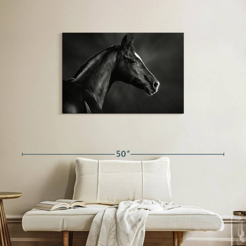 Brampt Black Arabian Horse, 24" H x 36" W