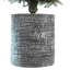 Pre-lit Flocked Potted Artificial Christmas Tree with Pine Cones and Warm LED Lights-119286507