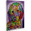 «Sweet Poodle», impression-25776780-25776774-25776777