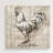 " Farm Rooster "-35560108-35560112