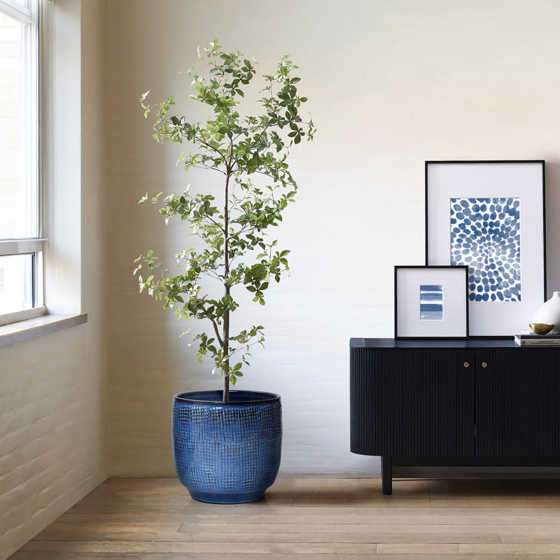 Pot à fleurs rond en céramique Gwendelynn, H 11,22 po x l 12 po x P 12 po, Bleu de cobalt