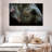 Asian Elephant Eye-107705496
