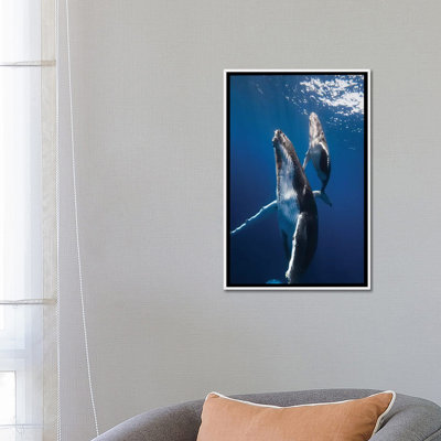 «Back to the Surface» par Barathieu Gabriel - reproduction de photo