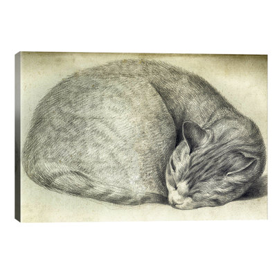 Sleeping Cat 1 Piece Wrapped Canvas Painting