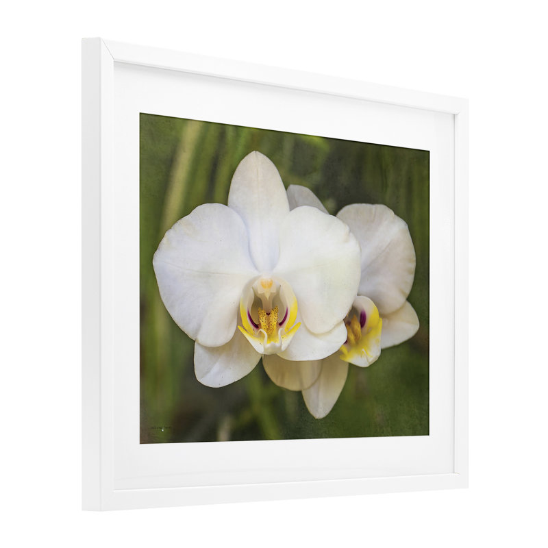 «Orchid Blossom Glow», reproduction sous verre encadrée, design par Seven Trees Design, H 17 po x l 21 po, Cadre blanc côtier