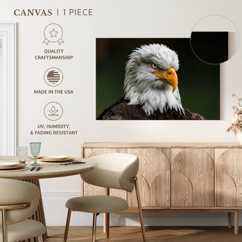 Brampt Bald Eagle Stare, 20" H x 30" W