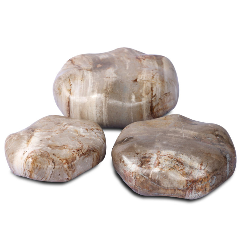 Petrified Wood Organic Sculpture, Light Brown