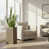Brown Gray