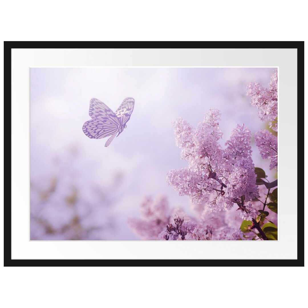 Gerahmtes Poster Schmetterling Kirschblüten