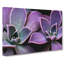 Lilac & Green Succulent Plant - Wrapped Canvas Art - Wrapped Canvas-55365479