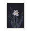 «Spring Gathering IV» par Robin-Lee Vieira, reproduction d'art-129010552-129010549-129010545