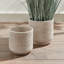BURMA RATTAN CACHEPOTS LARGE-1585032