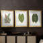Feuilles de collection IV - impression encadrée sur mesure de qualité supérieure - 3 pièces-374595128