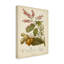 « botanique iv », reproduction d’impression sur toile tendue-33520864