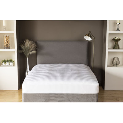 Plain Dye 540 TC 100% Cotton Fitted Sheet