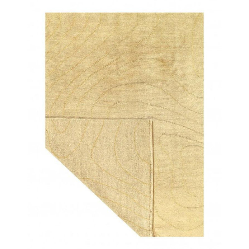 Indoor Rug