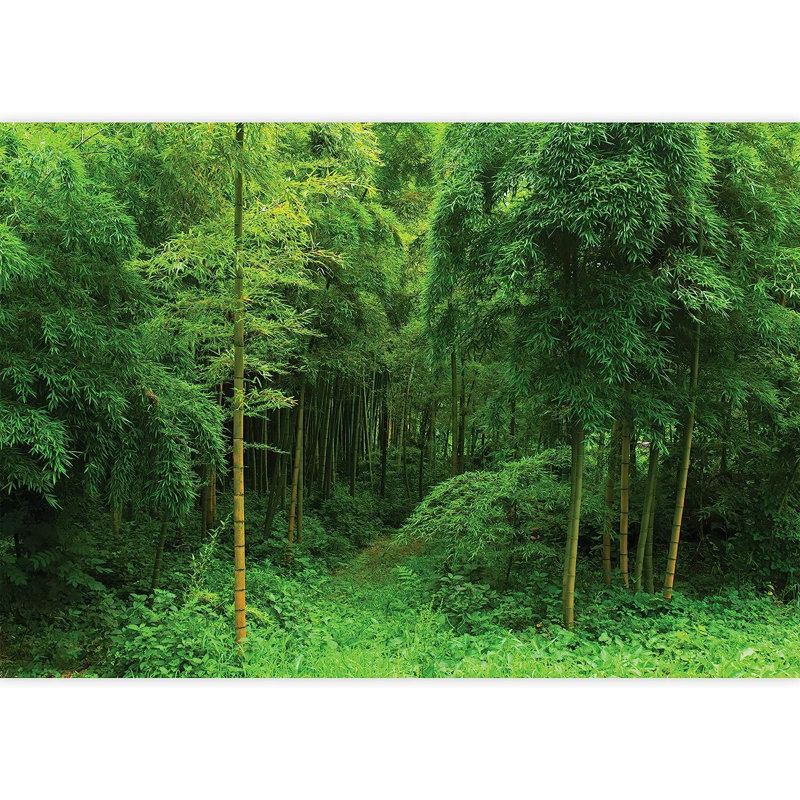 Peel & Stick Border, 100" L x 144" W