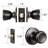 Terrace 6-Way Latch Passage Door Knob