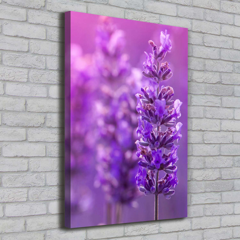 Lavender Field - Wrapped Canvas Print