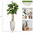81'' Faux Palm Tree in Fiberstone Vase